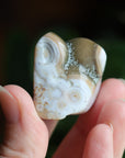 Ocean jasper tumbled stone 5 new