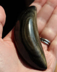 Gold sheen obsidian moon 10 new