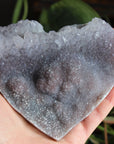 Amethyst flower heart 6, new