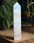 Caribbean calcite tower 1, new