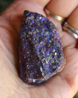 Peacock ore 1, new