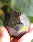 Garnet 4, new