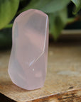 Gemmy rose quartz free form from Mozambique 2, new