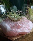 Rose quartz candle/plant holder 1