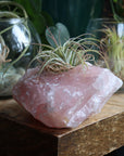 Rose quartz candle/plant holder 1