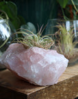 Rose quartz candle/plant holder 1