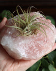 Rose quartz candle/plant holder 1