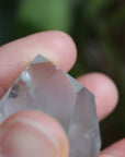 Amphibole quartz tower 1, new