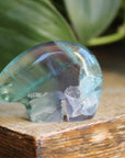 Rainbow fluorite bear 1, new