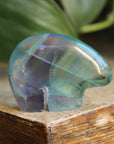 Rainbow fluorite bear 1, new