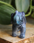 Fluorite elephant 1, new