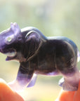 Fluorite elephant 2, new
