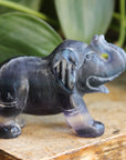 Fluorite elephant 4, new