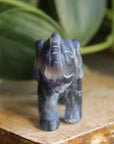 Fluorite elephant 5, new