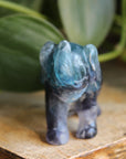 Fluorite elephant 6, new
