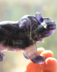 Fluorite elephant 9, new