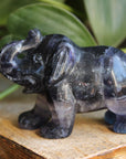 Fluorite elephant 9, new