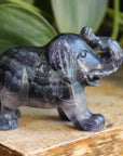 Fluorite elephant 9, new
