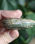 Old stock ocean jasper pocket stone OS1