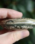 Old stock ocean jasper pocket stone OS1