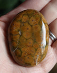 Old stock ocean jasper pocket stone OS2