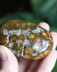 Old stock ocean jasper pocket stone OS2