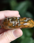 Old stock ocean jasper pocket stone OS2