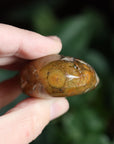 Old stock ocean jasper pocket stone OS2