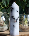 Black tourmaline in quartz tower 1 new