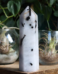 Black tourmaline in quartz tower 1 new
