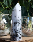 Black tourmaline in quartz tower 2 new