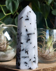 Black tourmaline in quartz tower 2 new