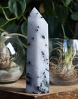 Black tourmaline in quartz tower 2 new