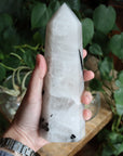 Black tourmaline in quartz tower 3