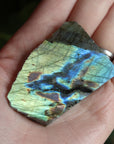 Semi polished labradorite slab 6