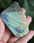 Semi polished labradorite slab 6