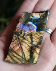 Semi polished labradorite slab 7 new