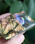 Semi polished labradorite slab 7 new