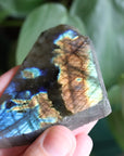 Semi polished labradorite slab 8