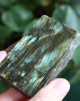 Semi polished labradorite slab 9