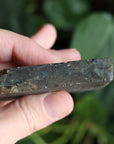 Semi polished labradorite slab 10
