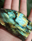 Semi polished labradorite slab 11