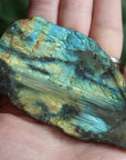 Semi polished labradorite slab 11