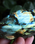 Semi polished labradorite slab 11