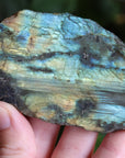 Semi polished labradorite slab 11