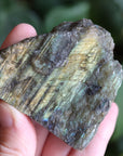 Semi polished labradorite slab 12