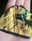 Semi polished labradorite slab 13