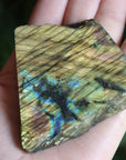 Semi polished labradorite slab 13