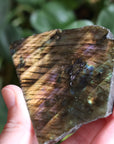 Semi polished labradorite slab 13