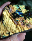 Semi polished labradorite slab 13